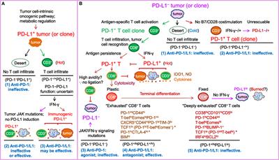 PD-1/PD-L1 Blockade: Have We Found the Key to Unleash the Antitumor Immune Response?